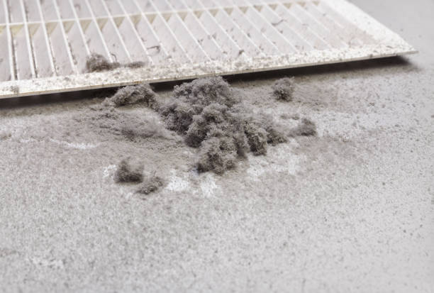 Best Air Duct Cleaning Near Me  in Sorrento, LA